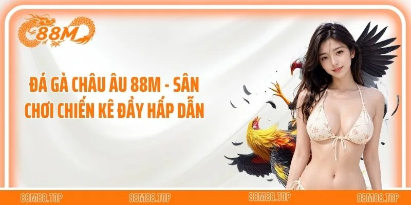 Đá Gà Châu Âu 88M - Sân Chơi Chiến Kê Đầy Hấp Dẫn